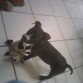TENIA 3 MESES Y MEDIO 
