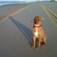 en la playa