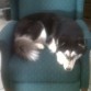 luka en su sillon  