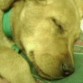 de bebe durmiendo