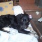 mi loquita preferida la que save como hacerme reir,la que esta ahi siempre,la que me calmo la herida de viky "gracias leidy,muchas gracias"