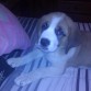 Camila,  posa para la foto!