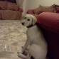 A los 5 meses ...