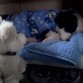 1 mes...durmiendo cuando recien llego a casa :D