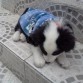 1 mes