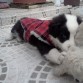 2 meses recien cumplidos