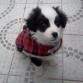 2 meses recien cumplidos