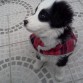 2 meses recien cumplidos