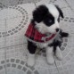 2 meses recien cumplidos..que posero xd