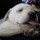 INDIA- 1 MESES Y MEDIO-