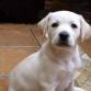 INDIA -2 MESES 