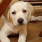 INDIA -2 MESES Y MEDIO-