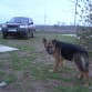 Troya, no es fotogenica.