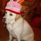 INDIA -SU PRIMER CUMPLEAÑOS-