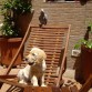 TOWANDA Y DAKOTA TOMAN EL SOL