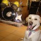 INDIA ROCKERA