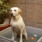 EN LA BAÑERA DE CASA