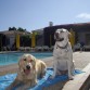 VACACIONES DIC 09-GRAN CANARIA-