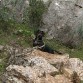 Mi perro en el torcal que no paraba de corretear