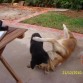 LOS DOS PELEANDOSE.... CUANDO NO =/
