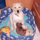 Reegan con 2 meses y medio y sus juguetes