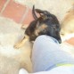 MORDIENDO LA PIERNA DE MI MAMÁ
