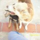 MI MAMÁ QUITO ESTA FOTO... =D
NO SALIO TAN BIEN... =/