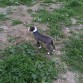 NaNo con 3 meses recien cumplidos