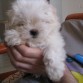 Con 2 meses 