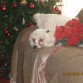 haaaaaaa me quede esperando a santa 