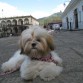 Posando en el atrio de la Catedral