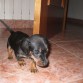 Otra fotito de Dora