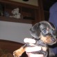 Dora con 2 meses