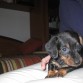 Dora con 2 meses