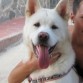con unos 9 meses