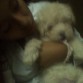 despertandose