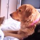 SOY LA PERRITA MAS TIERNA DEL MUNDO!!!