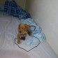 en la cama