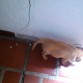 tomando agua