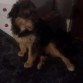 Chuky con pose chulesca jaja