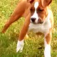 Kaiser
12 semanas