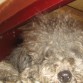 pensando