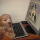 jugando en la computadora.