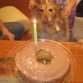 Feliz cumpleaños a miiiiiii¡¡¡¡¡¡