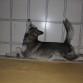Durmiendo