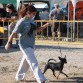 Exposición canina Tàrrega 2011
Viel de Caprichitos
Clase Intermedia: EXC 1º 