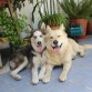Best Friends