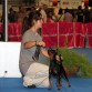 Exposición canina Fira de Barcelona 2011
Viel de Caprichitos
Clase Intermedia: EXC 1º 