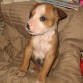 Mi Rudy es un encanto!!!