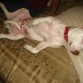 a los 5 meses